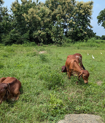 PXL_20240901_084132711